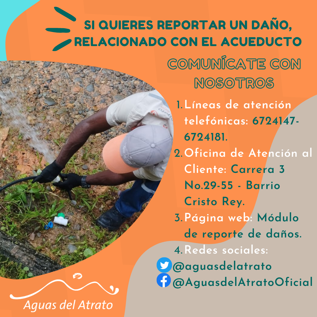 Reporte de daños